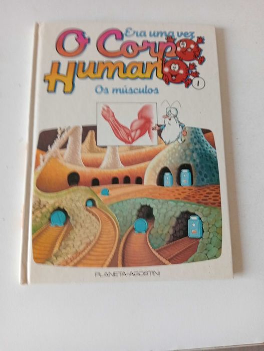 3 livros sobre o Corpo Humano Juvenil