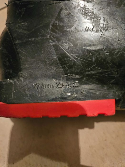 Zestaw Narty Salomon + Buty narciarskie Tecno + Kijki