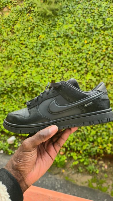 Nike Dunk Low Goretex
