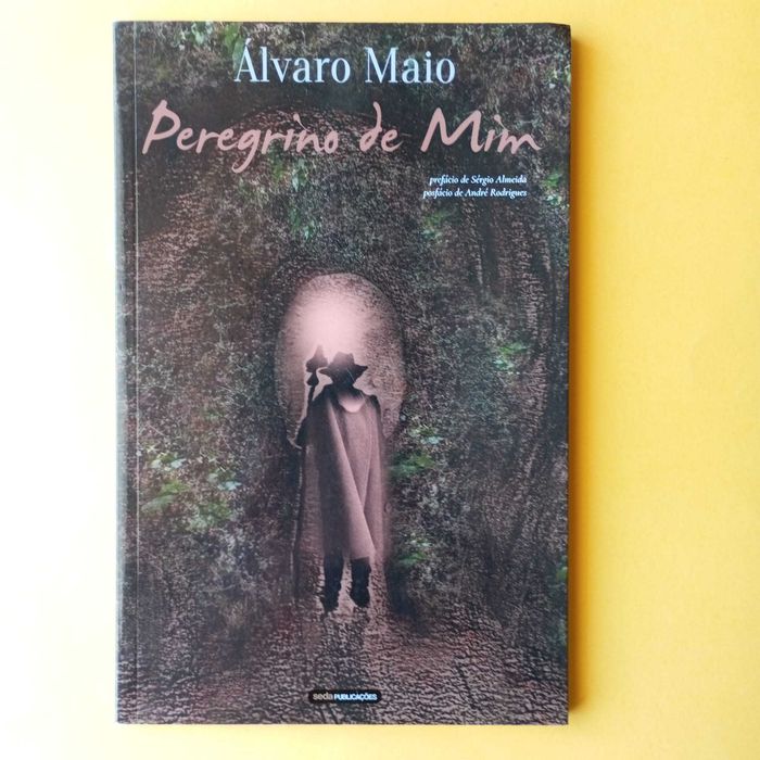 Coleção de Livros Mistos - Autores Variados - Conjunto 3