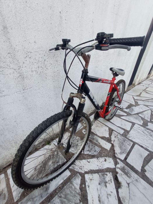 Bicicleta de adulto