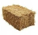 Sprzedam kostki słomy owsianki i pszenzyta
