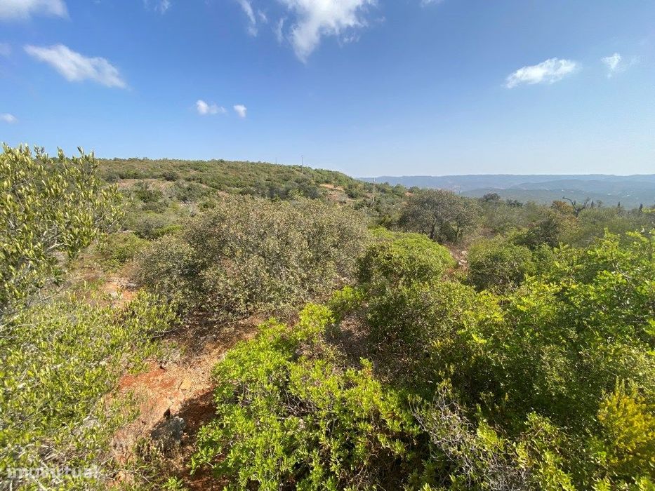 Lote de Terreno Rústico no Serro dos Passarinhos, Loulé, Algarve