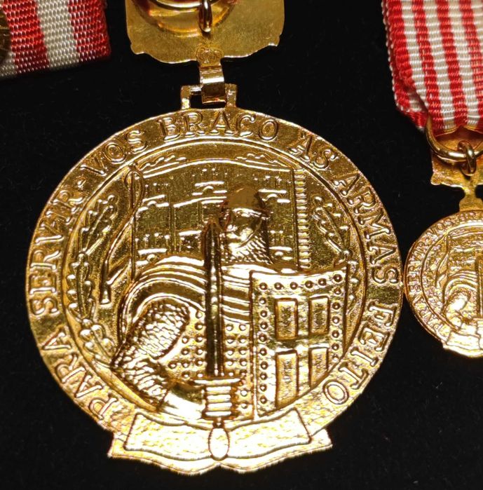 MEDALHA MILITAR SERVIÇOS DISTINTOS GRAU OURO com PALMA