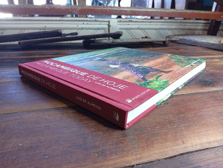 Moçambique de Hoje / Mozambique Today