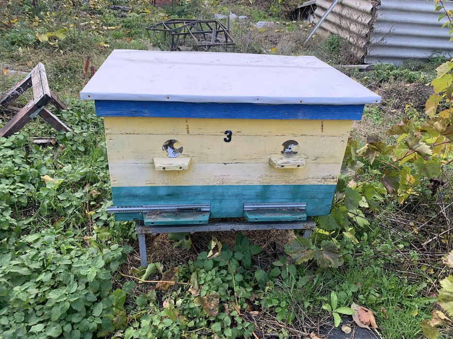 Вулик лежак 20 рамочний