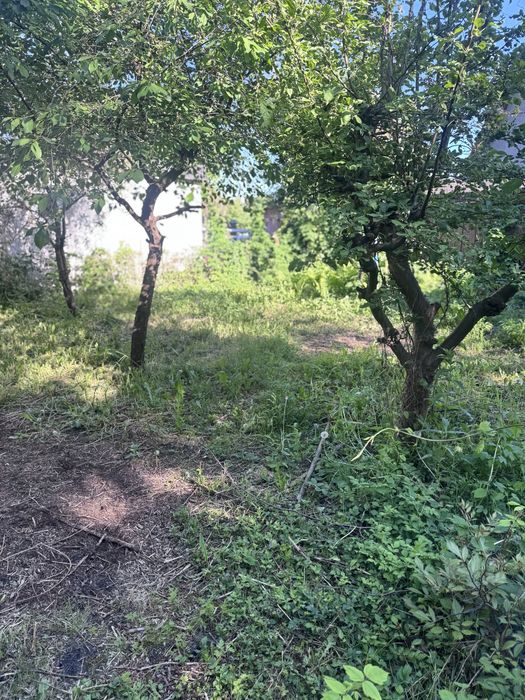 Działka ROD Kolejarz w Bydgoszczy - Widok 4