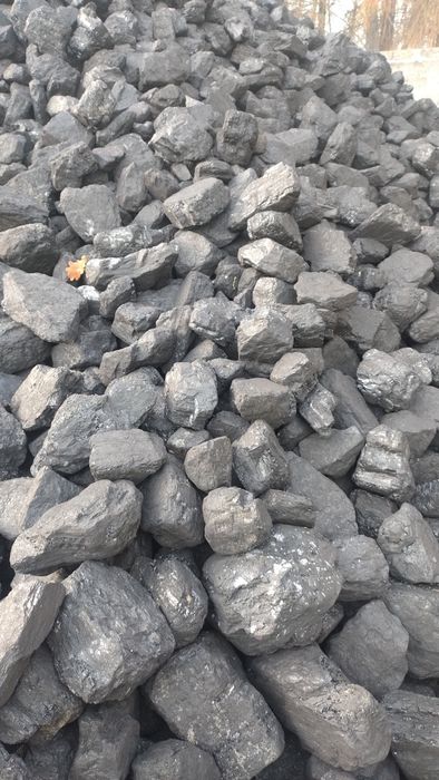 Węgiel Kostka ,Orzech Polski siany suchy z dostawą .