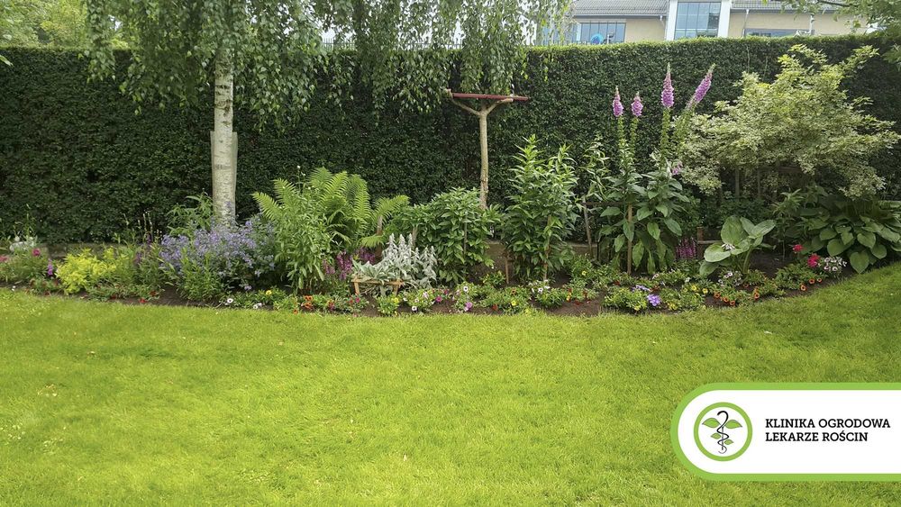 Pielęgnacja ogrodów • Koszenie • Wertykulacja • Cięcie drzew