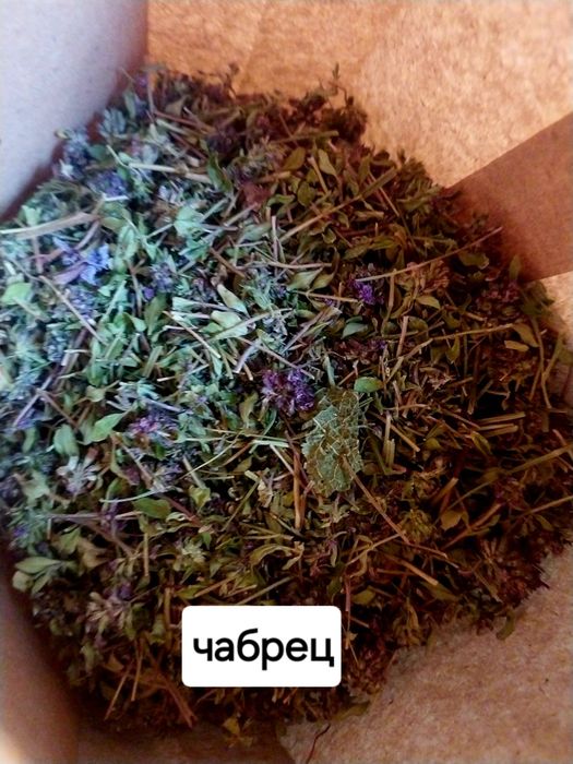 Ароматні та душисті травы, лікувальні сбори