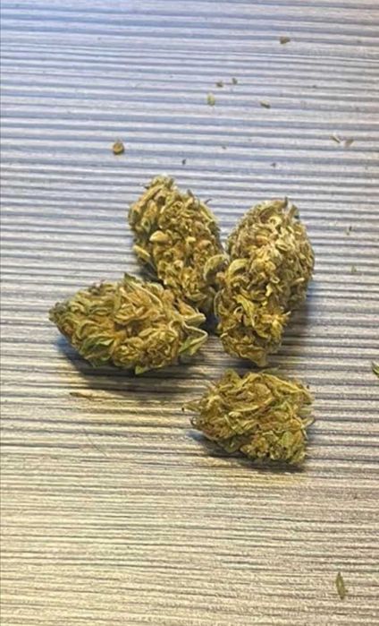 Susz CBD Platinum Sensi Weed 3g Najwyższa jakość Certyfikat legalności