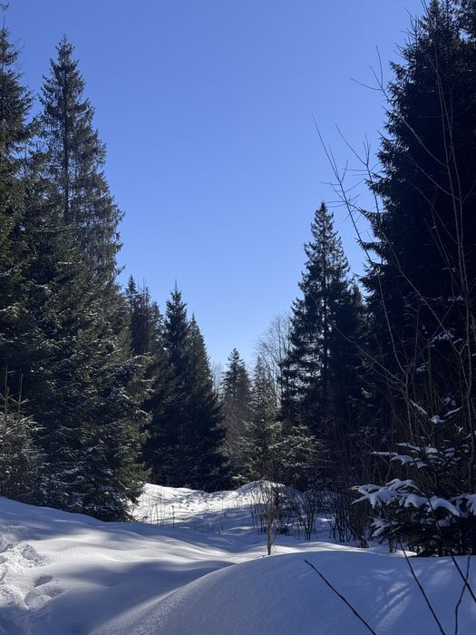 Ділянка в Карпатах біля річки ( Кривопільський перевал )