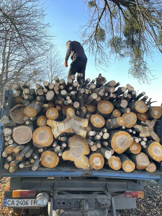 Продам дрова твердих порід опт/ розница