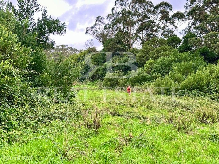 Terreno Rustico 11.640M2 Penedo, Colares, Sintra