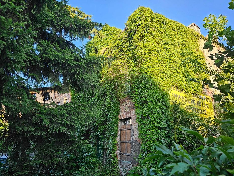 Dwie kamienice w centrum Brodnicy