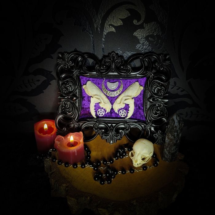 Rama gotycka czaszka norki