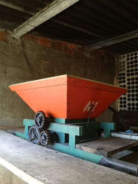 Esmagador de Uvas ELÉTRICO (motor)