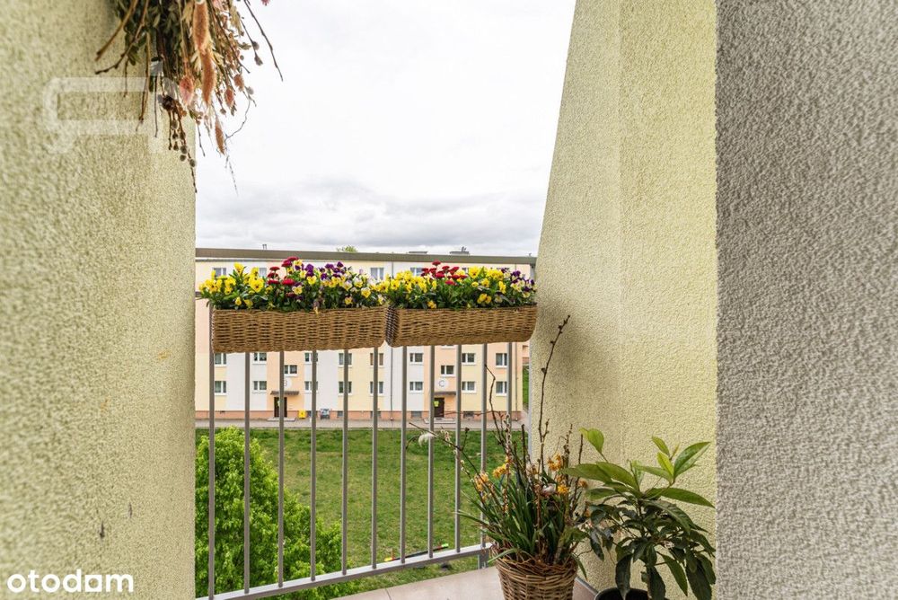 Stylowe 2 pokoje po generalnym remoncie | Balkon