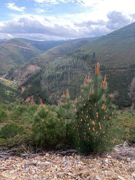 Terreno  para venda