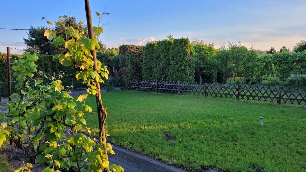 Działka ROD im. Marcinkowskiego - Widok 3