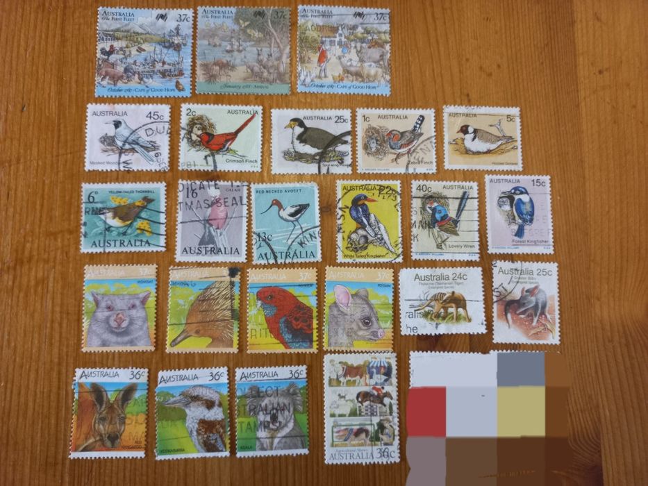 selos só fauna e flora