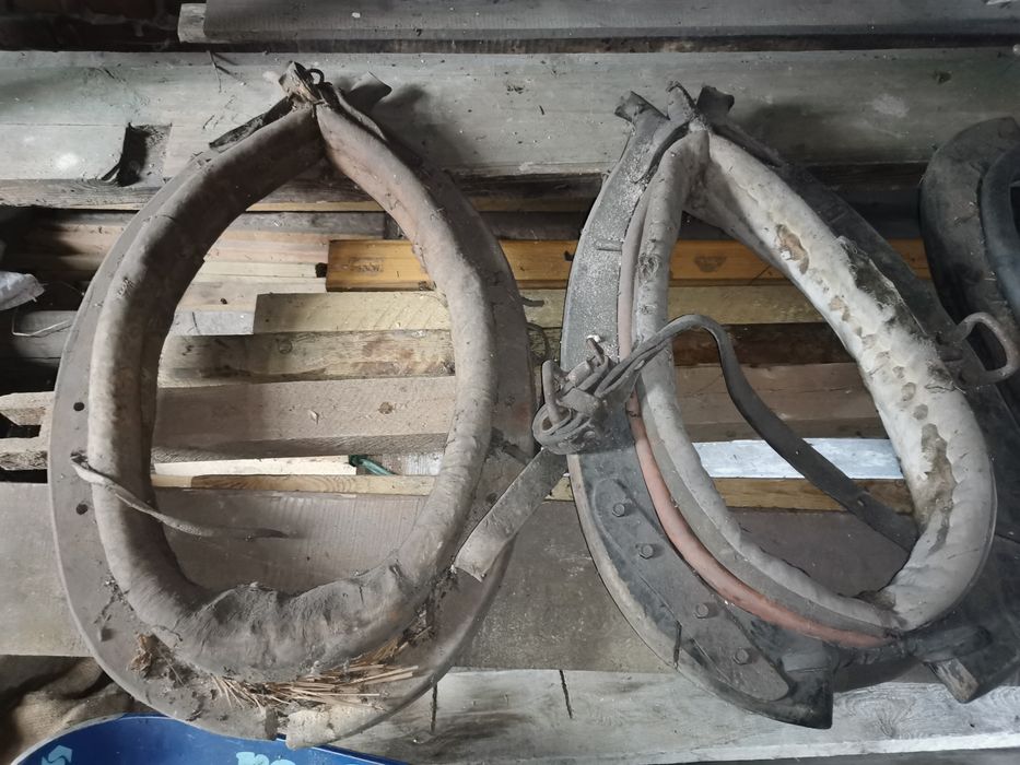 Homonto dla konia Skrzyszów • OLX.pl