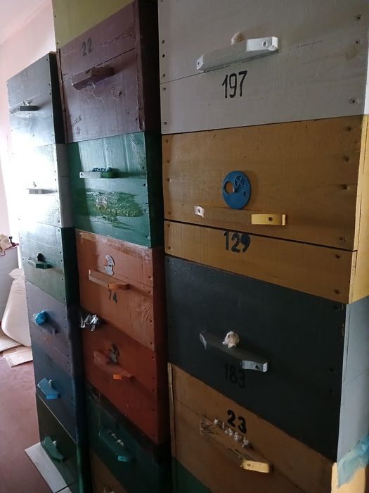 Продаётся пасека