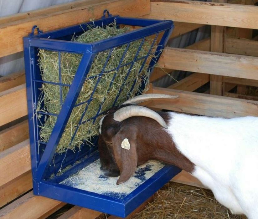 СЕНО ДОСТАВКА ОТ 1 шт в тюках мешках , сіно озиме и др. В наличии.