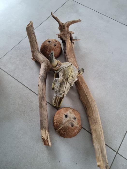 Terrarium + mata grzewcza, lampka,dodatki