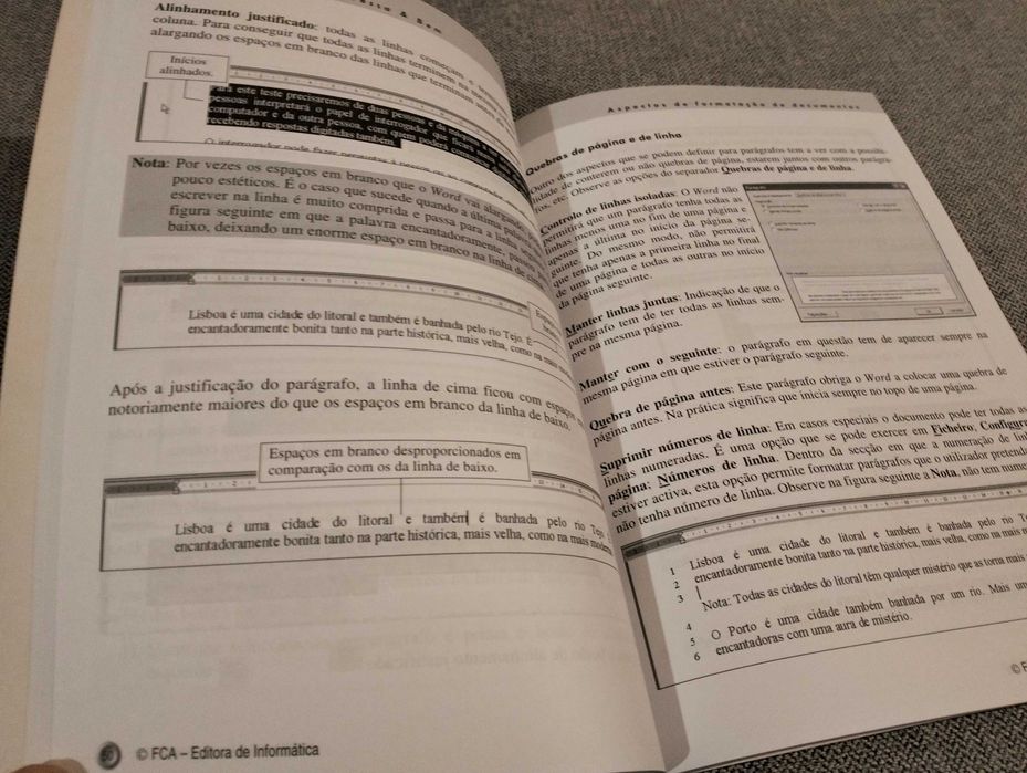 Livro "Word XP e 2000" de Isabel Vaz & Lima d'Oliveira