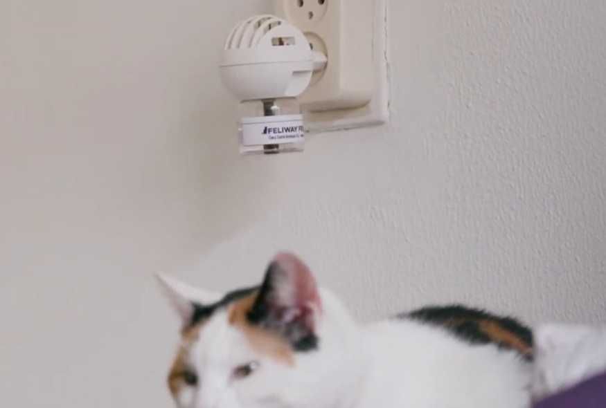 Феромони Feliway у дифузорі
