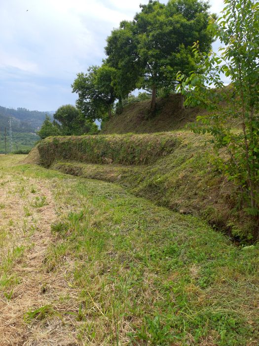 Limpeza de terrenos