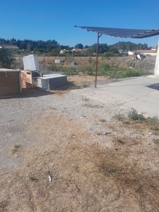 Armazém arrendamento