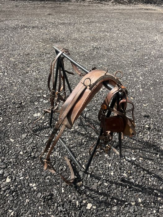 Arreio engatar ponei