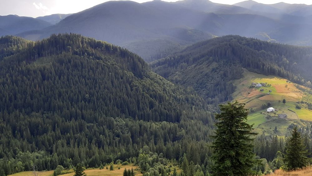Рівна ділянка, під будову. Межує з лісом. 40 соток в Дземброні