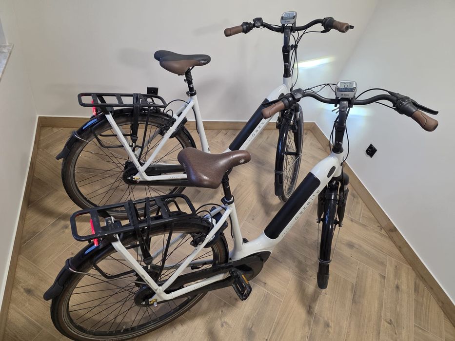 Gazelle Grenoble C7 +/ 2 szt/