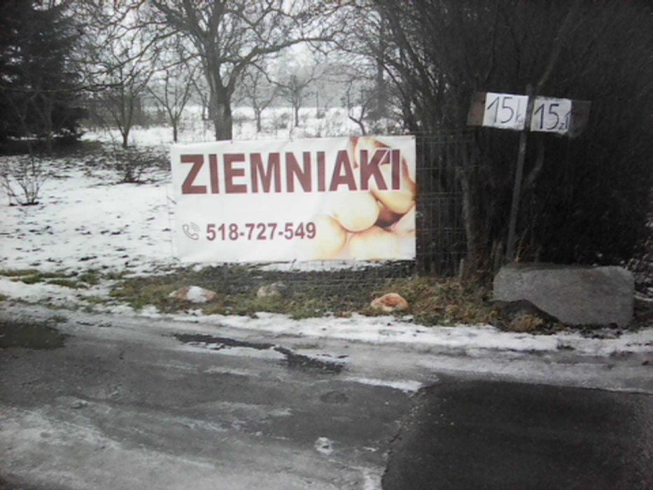 Ziemniaki jadalne Wineta 15 kg-15 zł