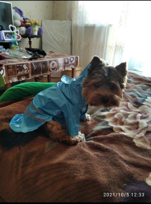 Плащ для собаки рефлекторный