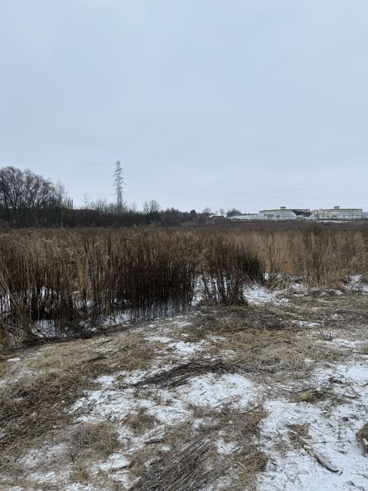 Czyszczenie działek, karczowanie, mulczowanie, koszenie, równanie