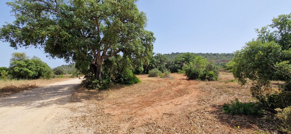 Terreno com água e luz com 8ha