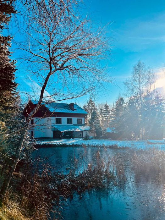 Wynajmę dom w górach Sowich (do 12 osób) na Ferie 2026