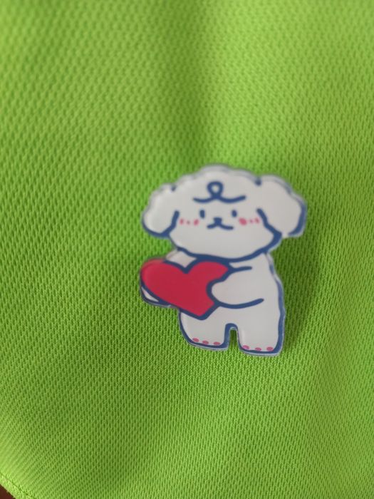 Pin para colocar na camisola ou em outro material