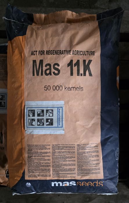 Kukurydza Mas 11.K nasiona kukurydzy Mas seeds