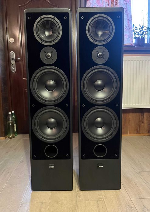 Canton Ergo SC-L, kontroler Unit