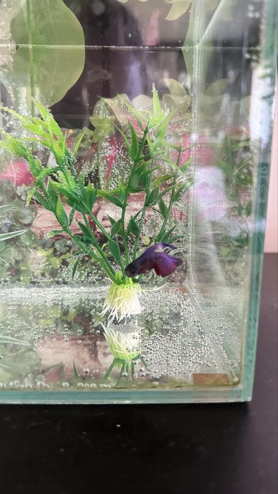 Продам акварім на 15 л з рибками та фільтром