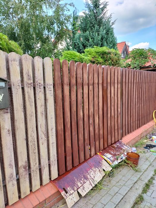 Wycinka drzew pielęgnacja