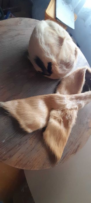 Czapka toczek+ szalik  damski z nutrii PRL