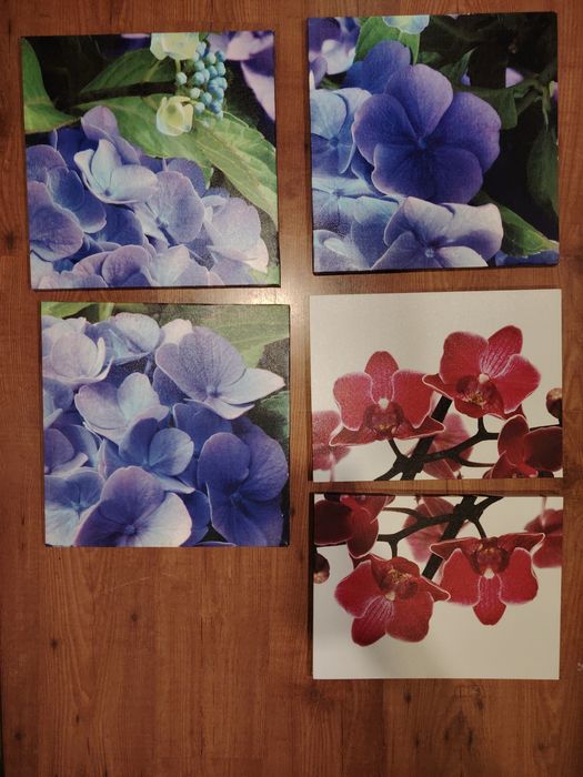 Telas motivos florais