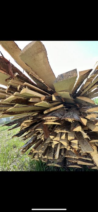 zrzyny sosnowe wiązka