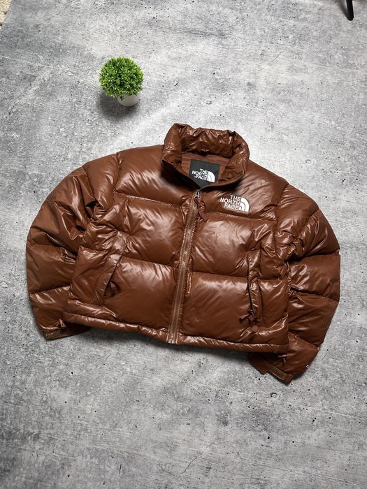 Жіночий пуховик The North Face Nuptse 700 Down Jacket